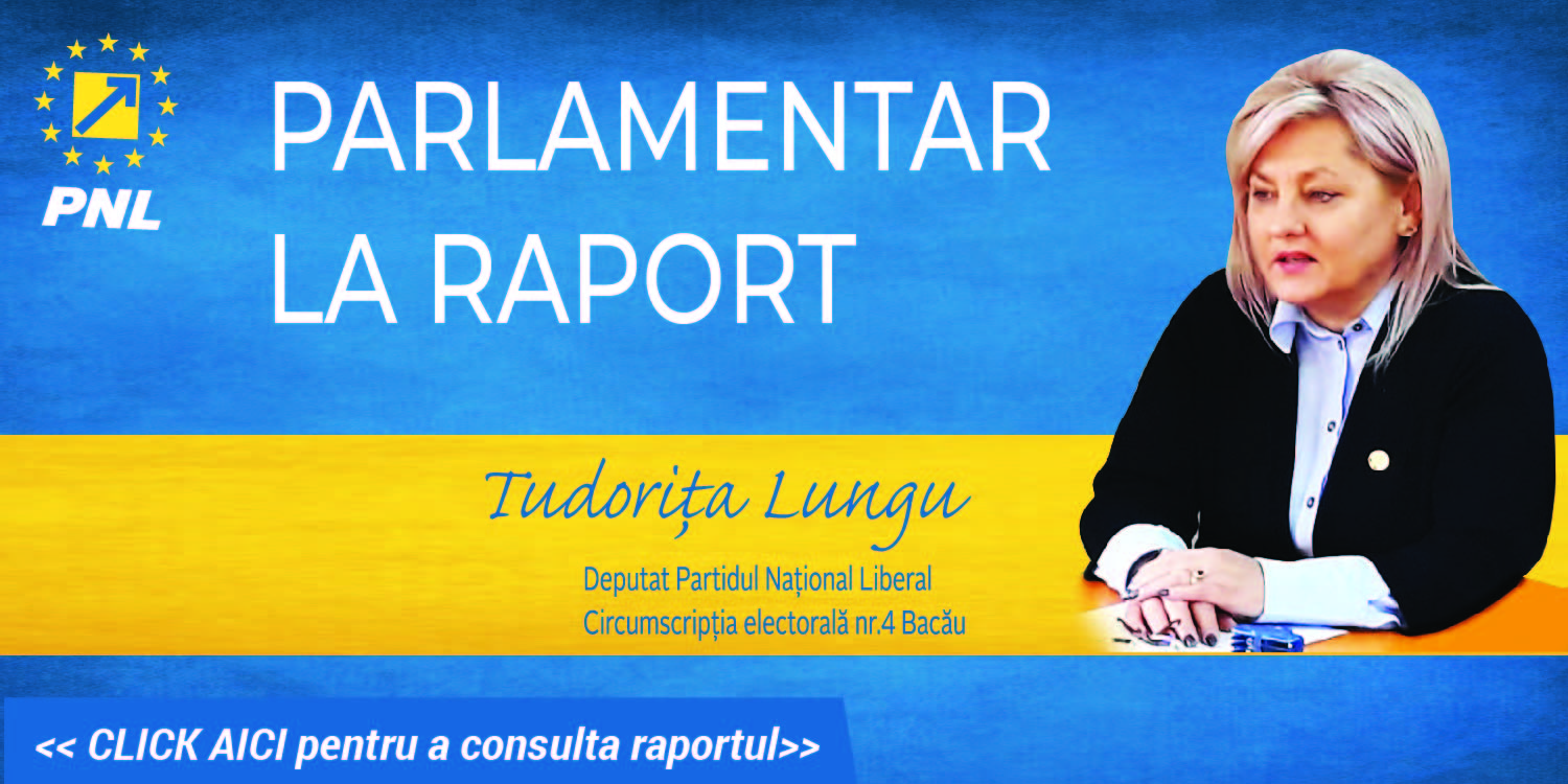 Tudorița Lungu și-a publicat raportul de parlamentar la jumătatea mandatului